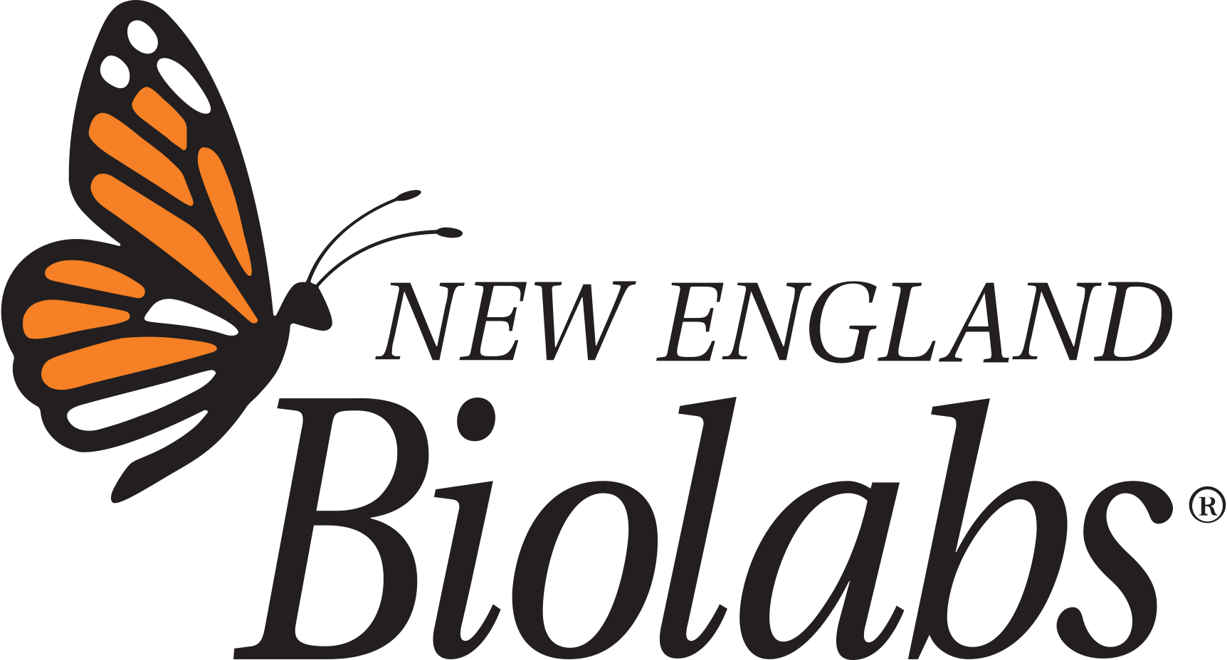 New England Biolabs